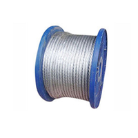 Spring Steel Wire Ropes